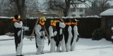 2015 - Fasching