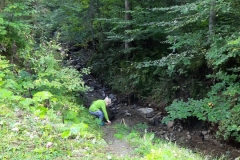 IMG-20210918-WA0028